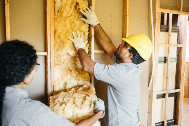 Reliable Upper Grand Lagoon, FL Insulation Contractor Solutions