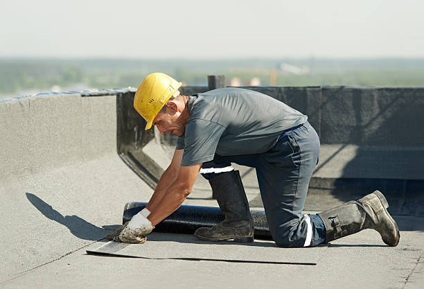 Best Attic Insulation Installation  in Upper Grand Lagoon, FL